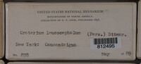 Image Associated With the Occurence